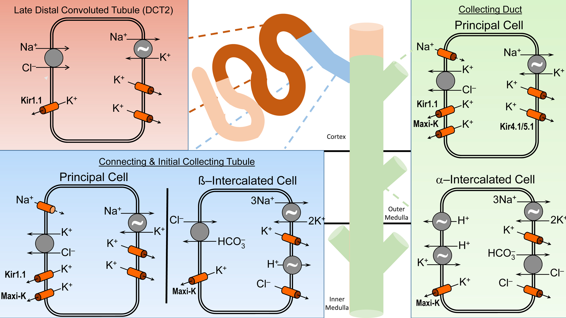 Figure 5: