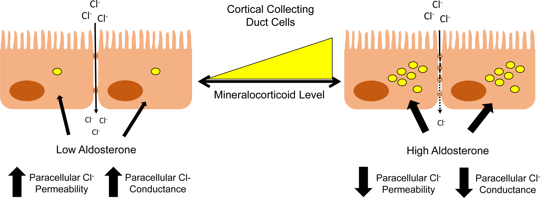 Figure 8: