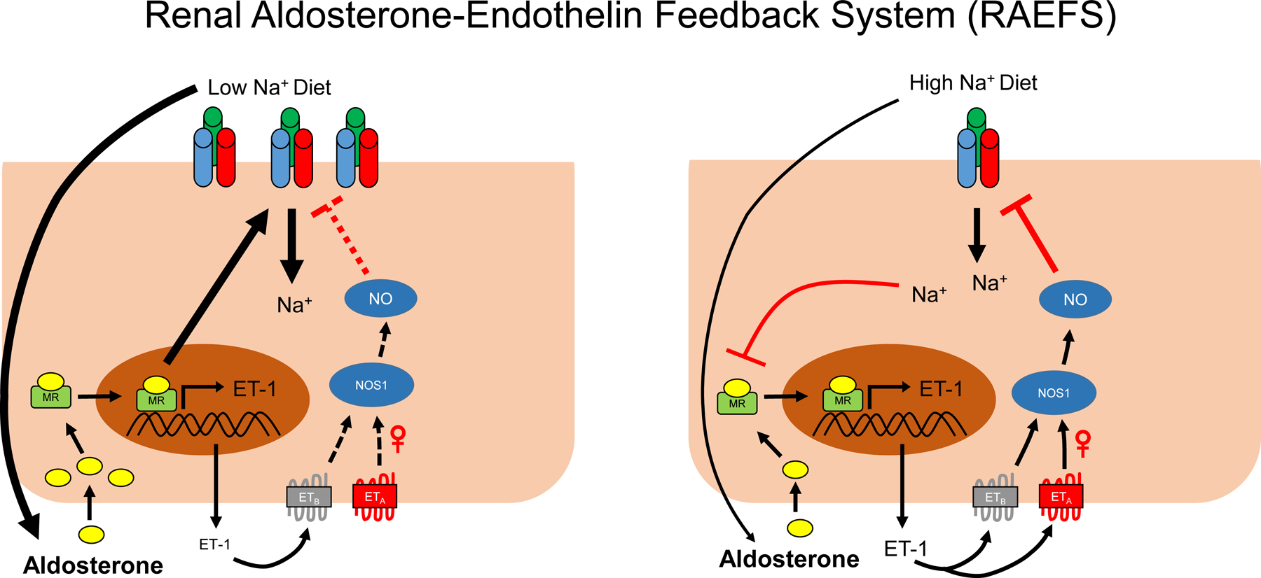 Figure 10: