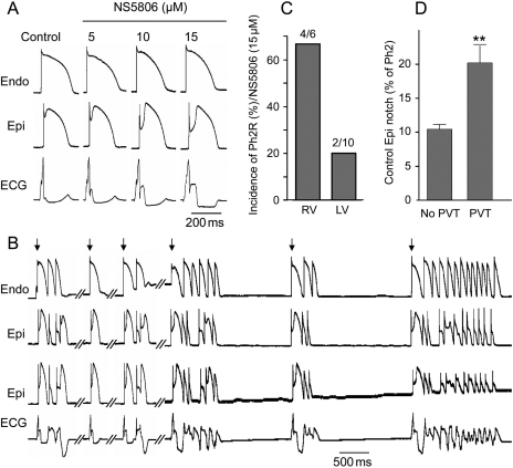 Figure 7