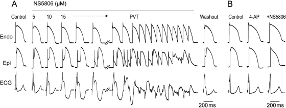 Figure 3