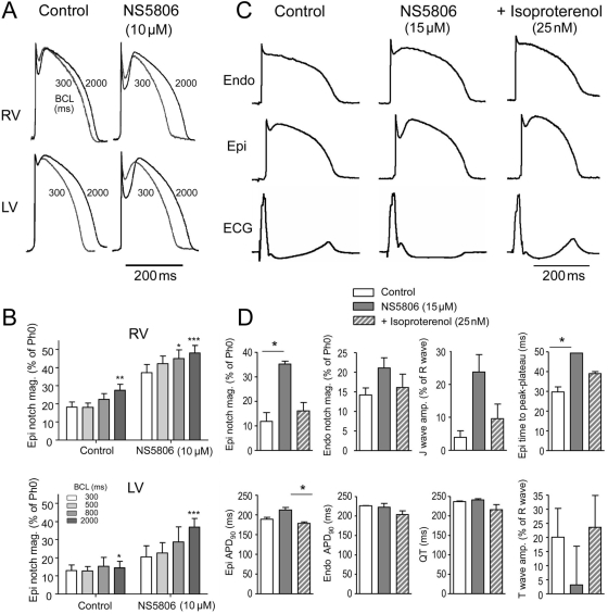 Figure 6