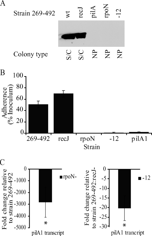 FIG. 4.