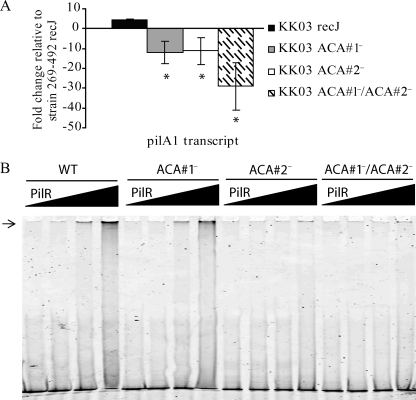 FIG. 8.