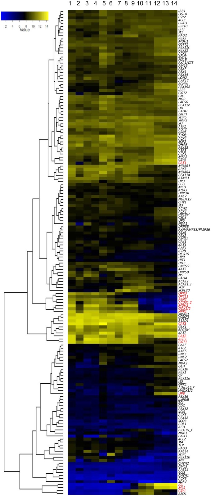 Fig 1