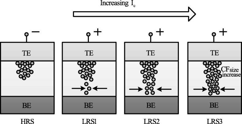 Fig. 12