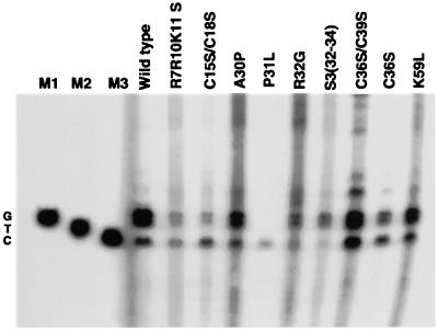 FIG. 5