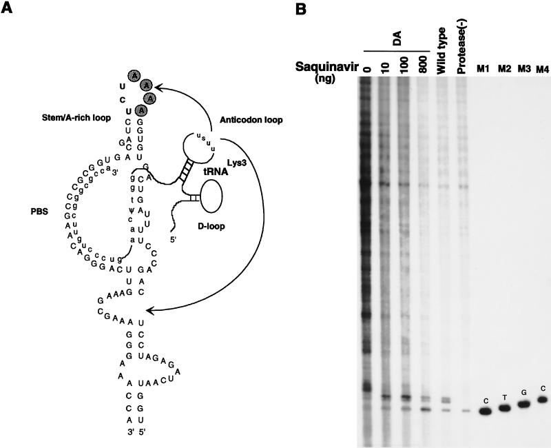 FIG. 6