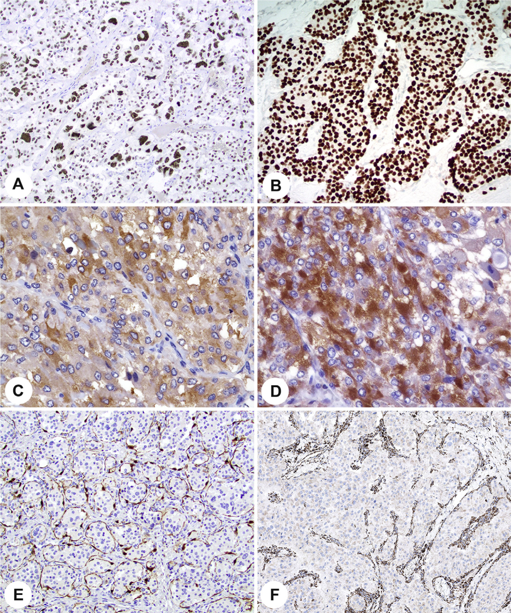 Fig. 11