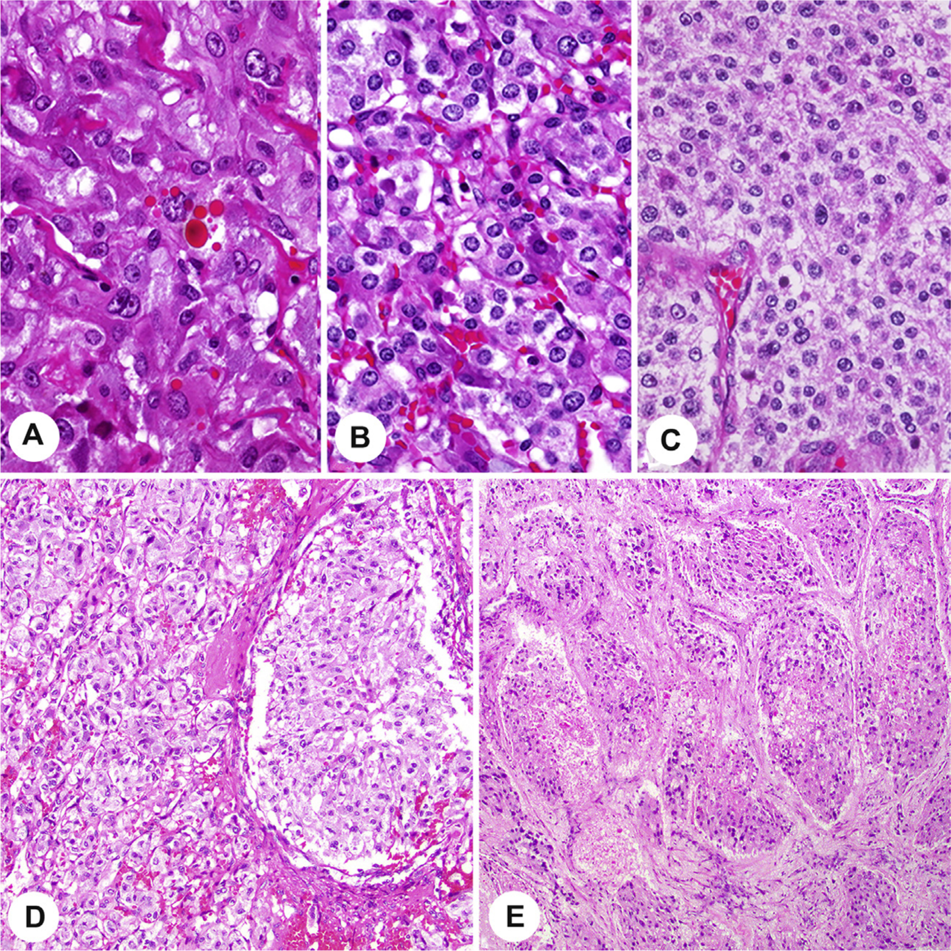 Fig. 10