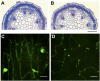 Figure 6.