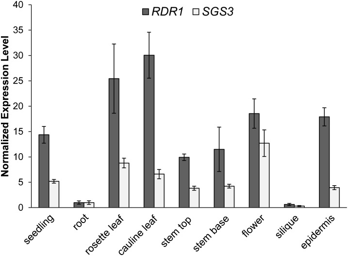 Figure 5.