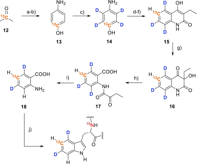 Scheme 5