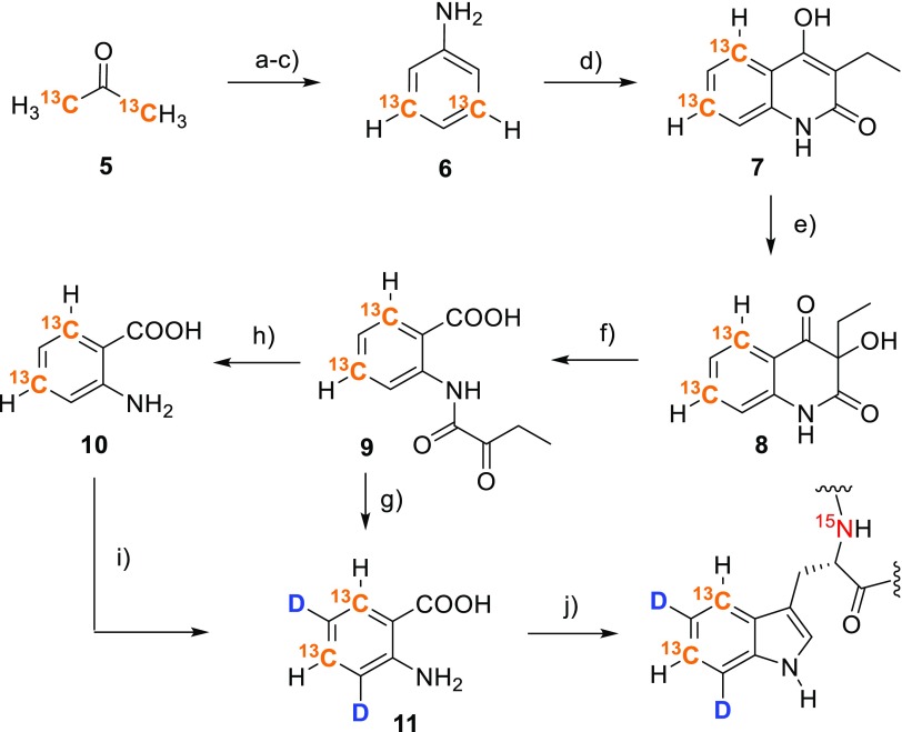 Scheme 4