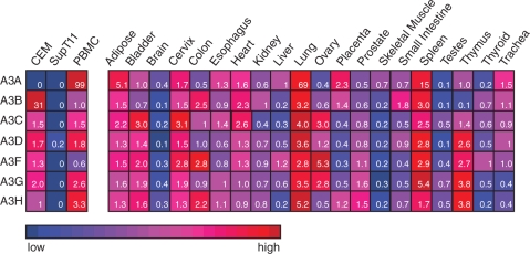 Figure 5.