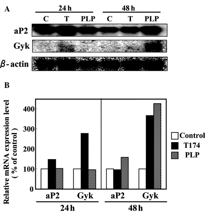 Figure 2.