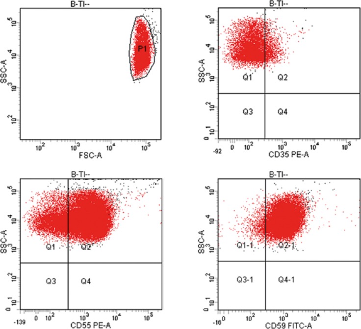 Fig. 3