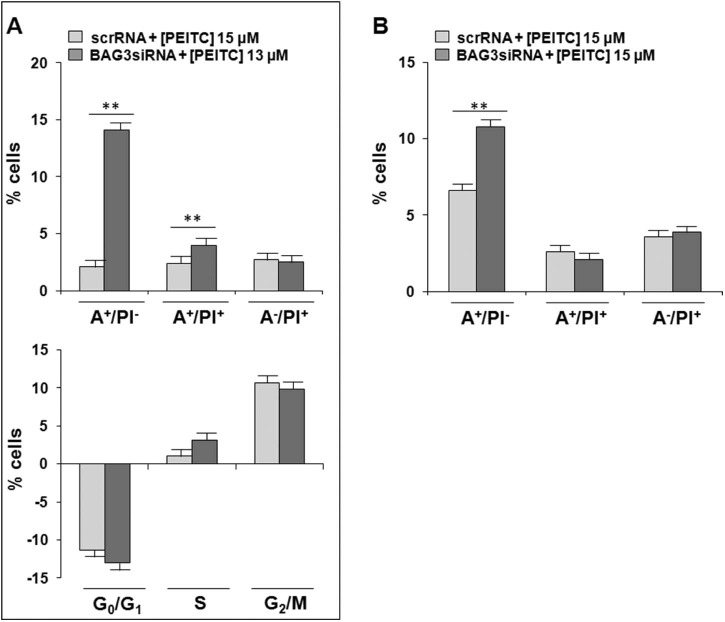 Fig. 3