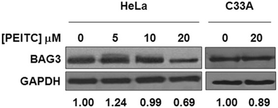 Fig. 4