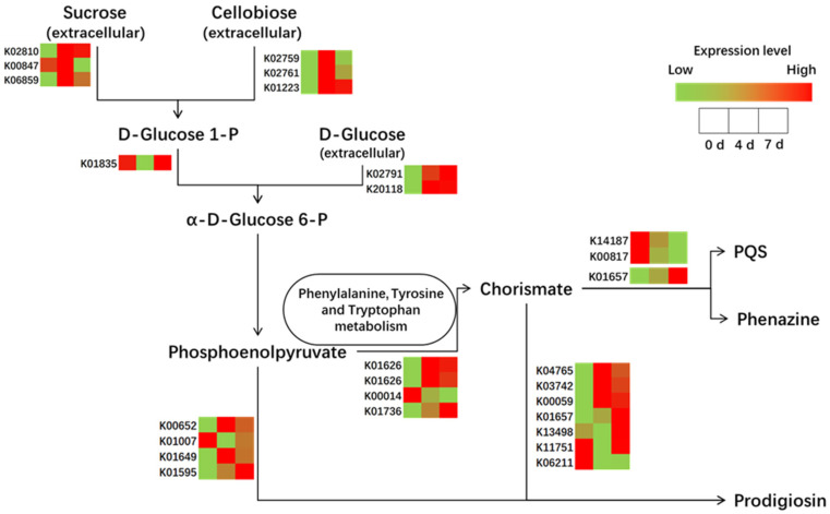 Figure 7