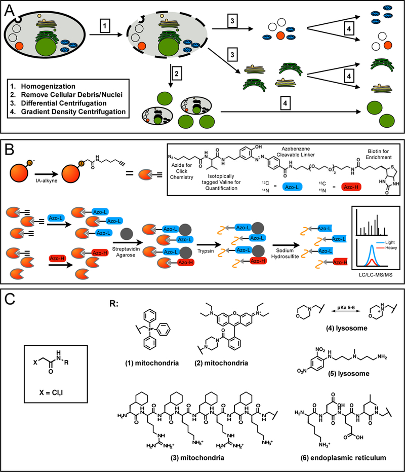 Figure 3: