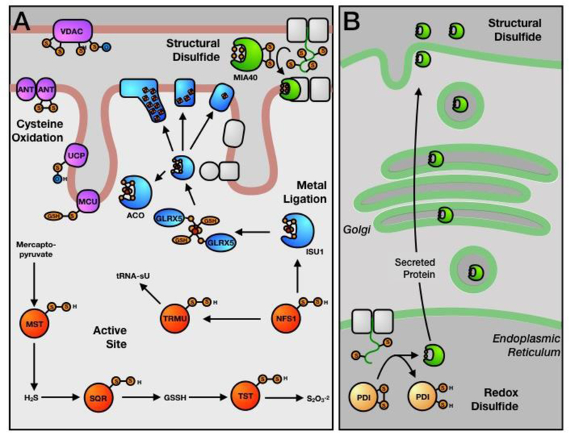 Figure 2: