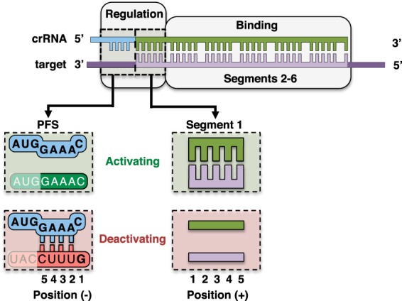 Figure 6.