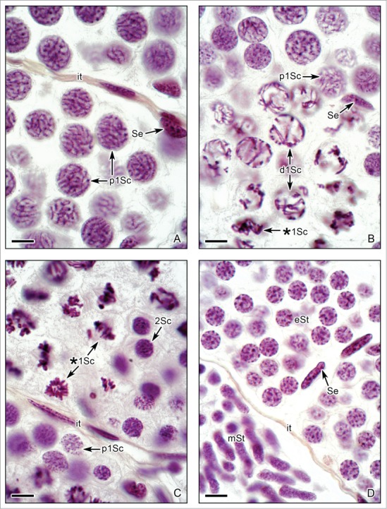 Figure 5.