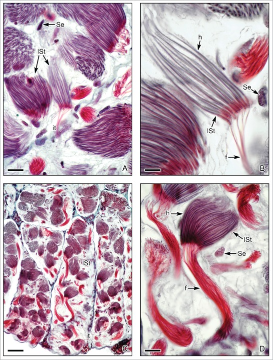 Figure 7.