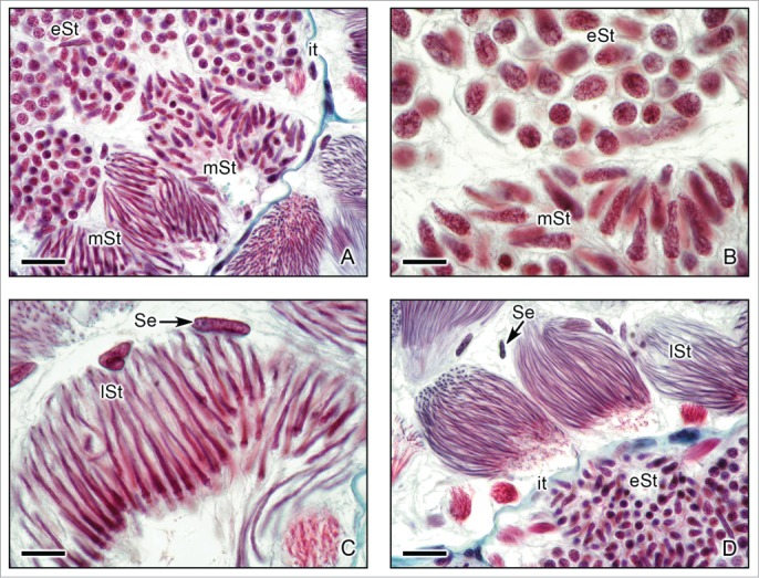 Figure 6.