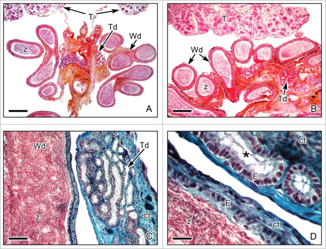 Figure 10.