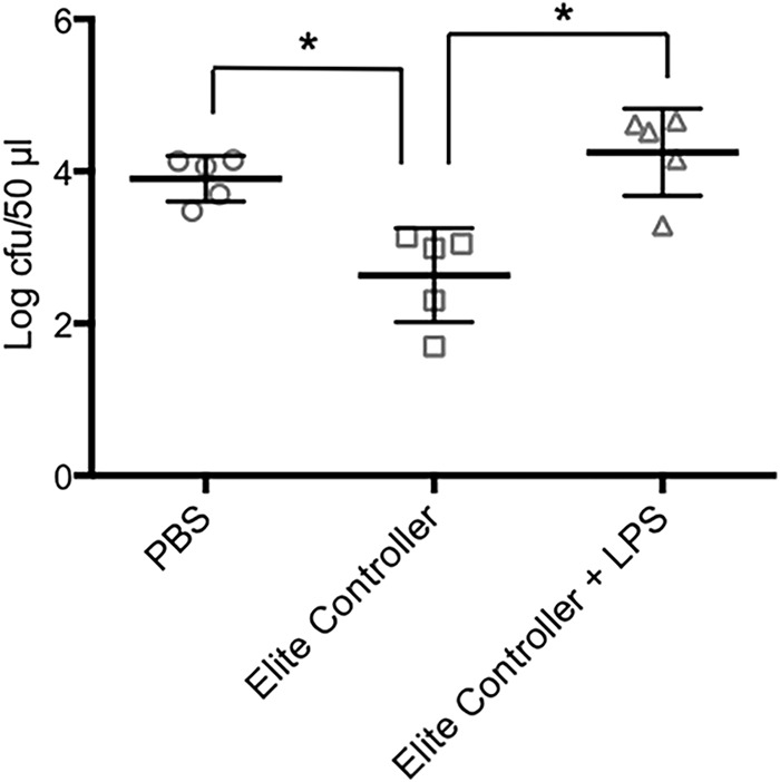 FIG 2