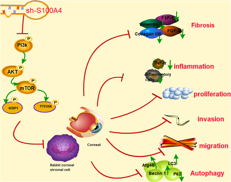 Figure 10.