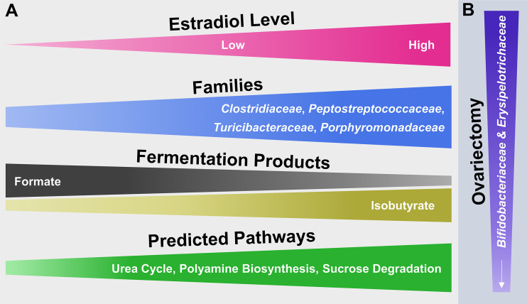 Figure 7