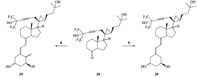 Scheme 4