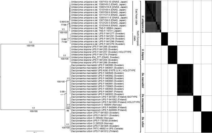 Fig. 10