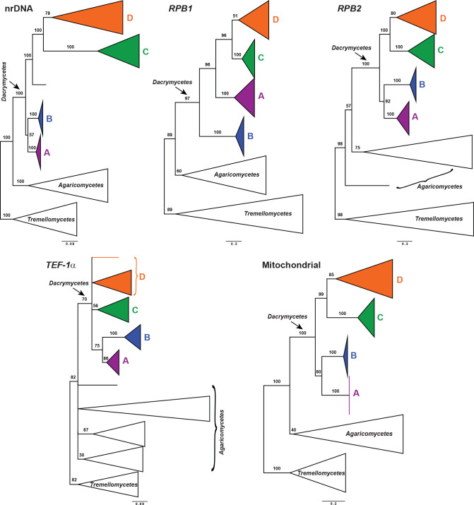 Fig. 7