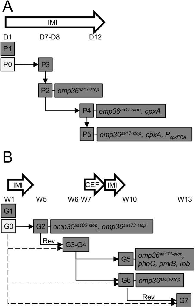 Fig 5