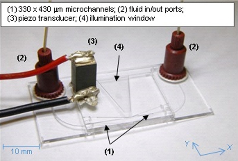 FIG. 1.
