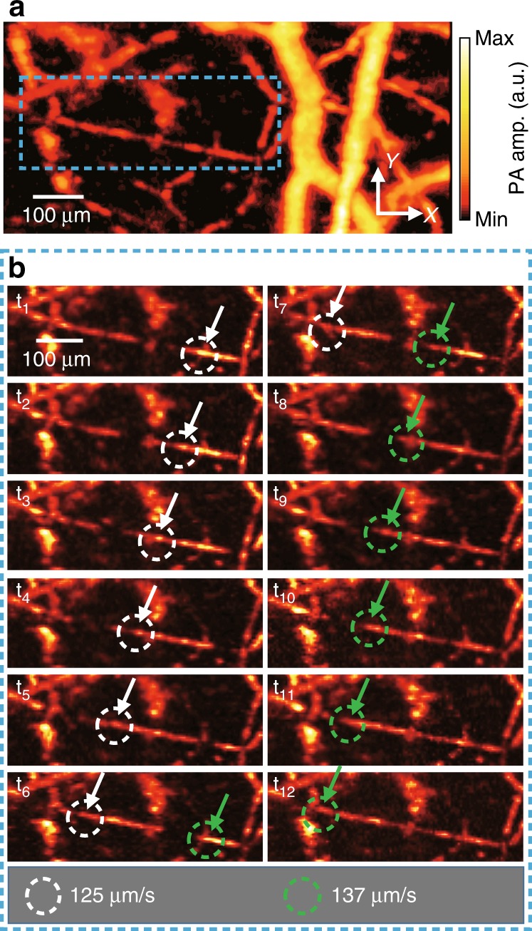 Fig. 4