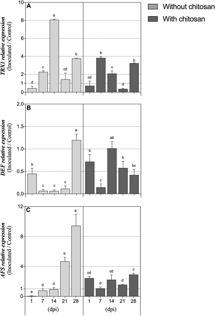 Figure 5