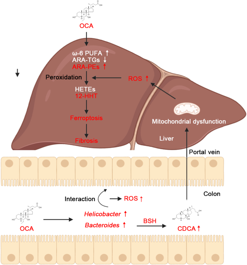 Fig. 9