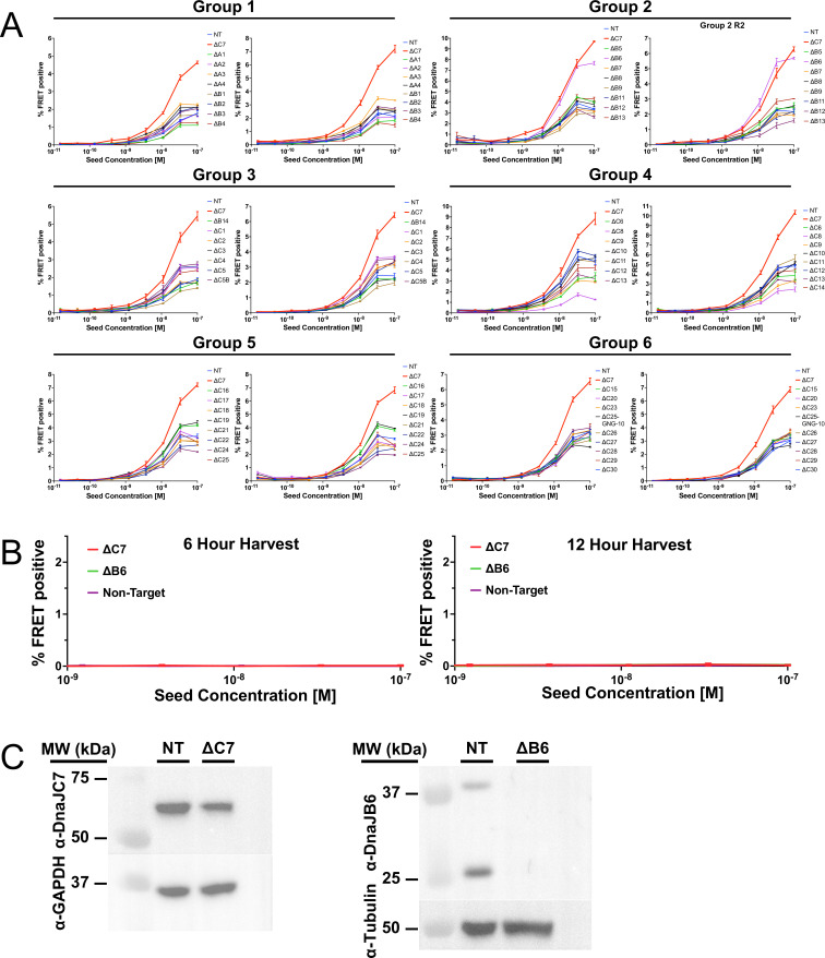 Figure 3—figure supplement 1.