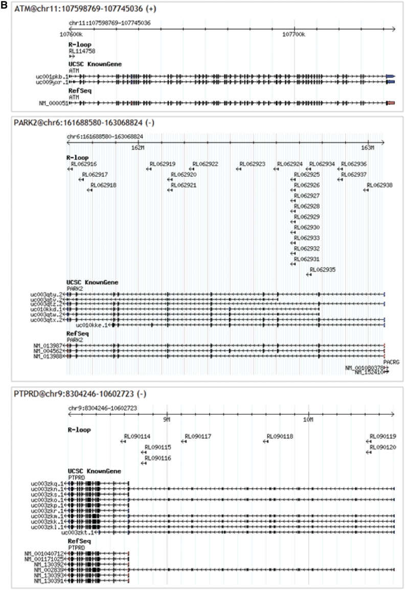 Figure 6.