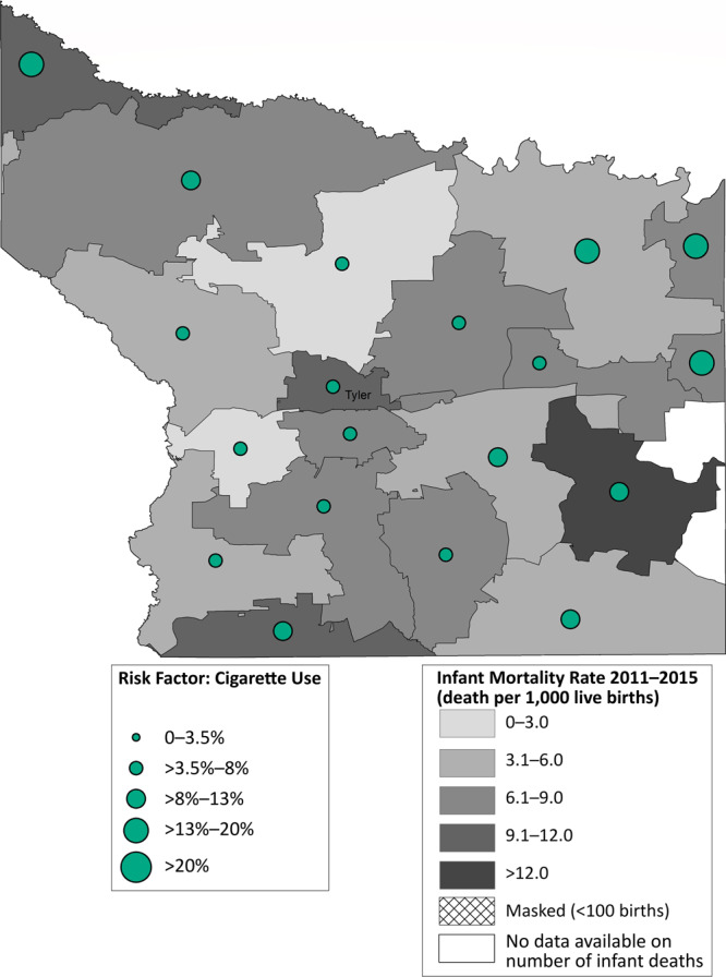 Most zip code areas in Smith County had an infant mortality rate of 6.1 to 9.0 per 1,000 live births. Most of these zip codes also had prevalences of 20% or less of maternal cigarette smoking during pregnancy.