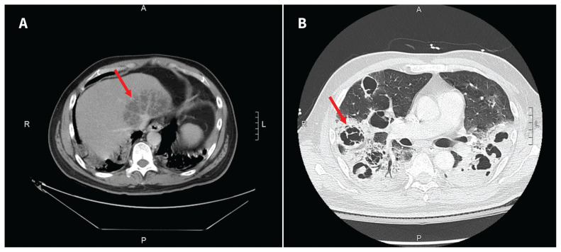 Figure 1: