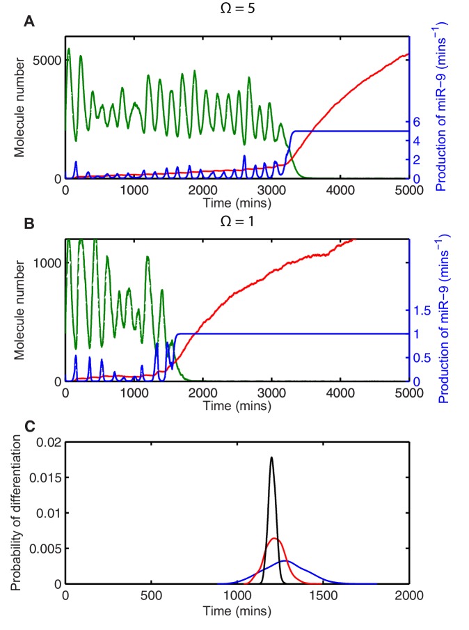 Figure 5.