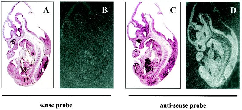 FIG. 9.