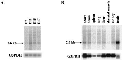 FIG. 8.