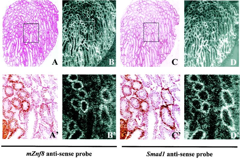 FIG. 10.